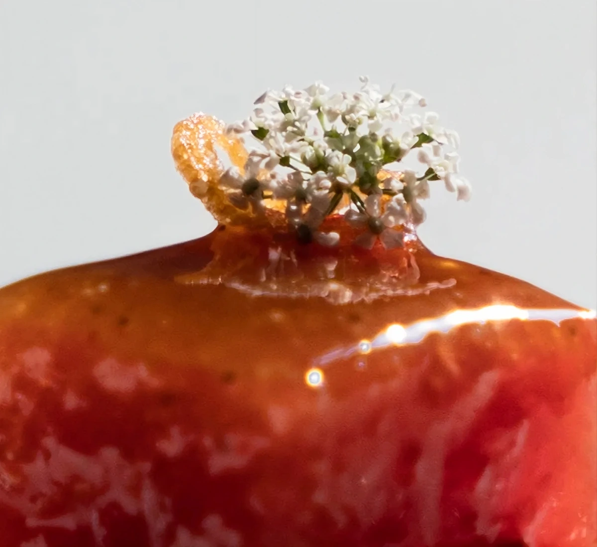 Signature dish close-up